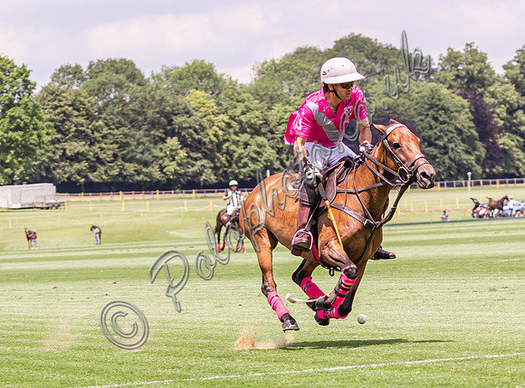Polo action, 2024 Gold Cup, Cowdray Park Polo Club