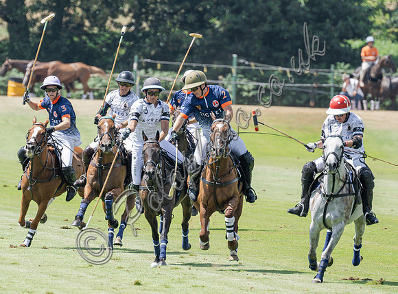 olo action, 2025 Gold Cup, Cowdray Park Polo Club