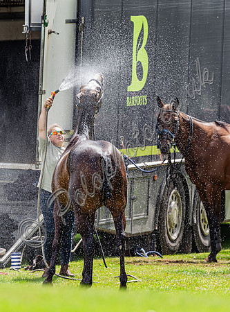 Polo action, Holden White Final 2024, Cowdray Park Polo Club