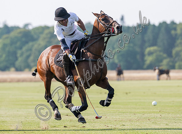 Polo action, County Cup 2025 league match, Cirencester Park