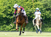 Ladies 16 Goal series