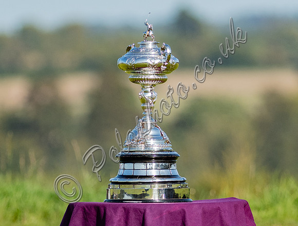 County Cup 2020 Polo at Cirencester Park