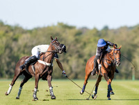 County Cup 2020 Polo at Cirencester Park