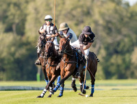 County Cup 2020 Polo at Cirencester Park