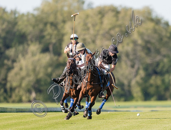 County Cup 2020 Polo at Cirencester Park
