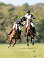 County Cup 2020 Polo at Cirencester Park