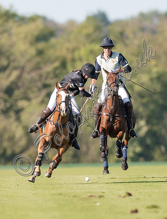 County Cup 2020 Polo at Cirencester Park