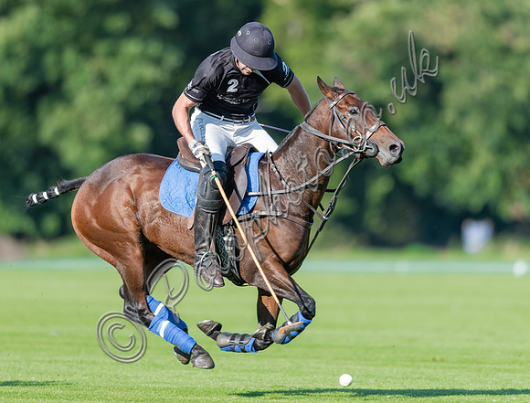 County Cup 2020 Polo at Cirencester Park