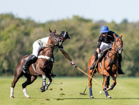 County Cup 2020 Polo at Cirencester Park