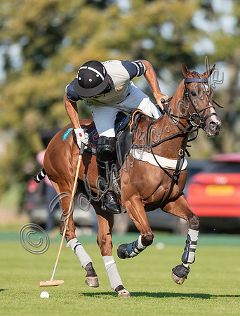 County Cup 2020 Polo at Cirencester Park