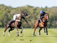 County Cup 2020 Polo at Cirencester Park