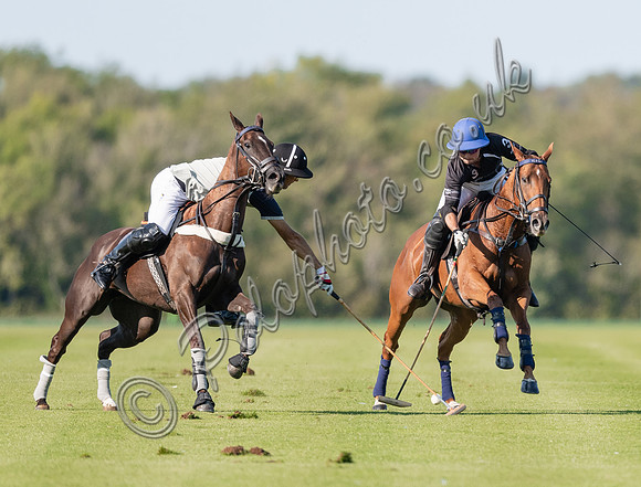 County Cup 2020 Polo at Cirencester Park
