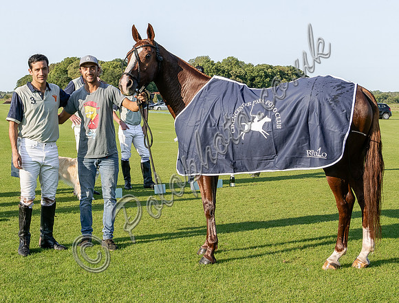 County Cup 2020 Polo at Cirencester Park