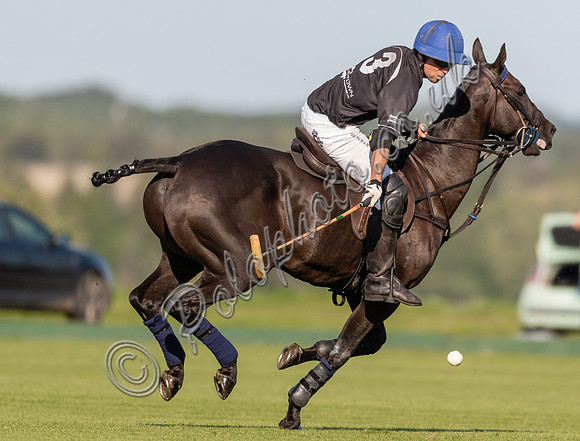 County Cup 2020 Polo at Cirencester Park