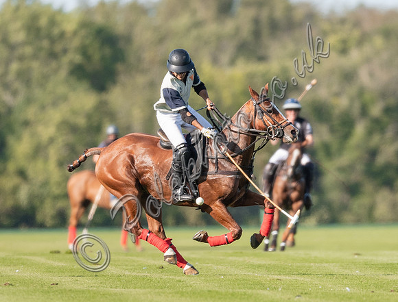 County Cup 2020 Polo at Cirencester Park