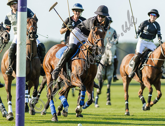 County Cup 2020 Polo at Cirencester Park