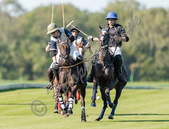 County Cup 2020 Polo at Cirencester Park