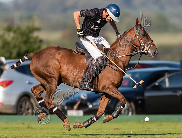 County Cup 2020 Polo at Cirencester Park