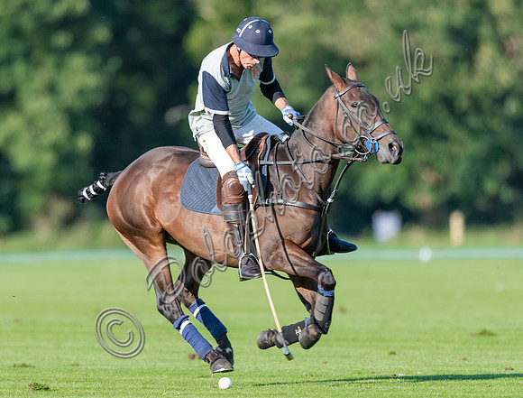 County Cup 2020 Polo at Cirencester Park