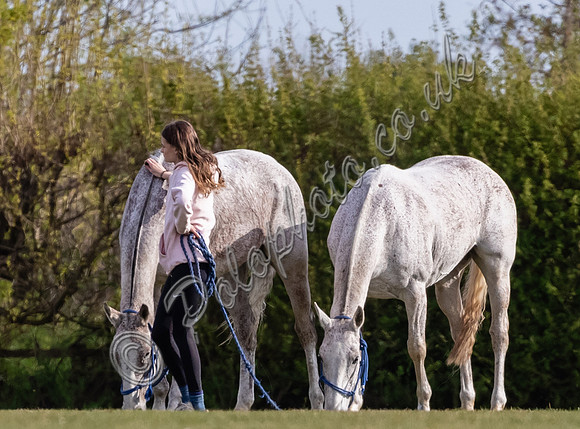 polo action Badminton Cup