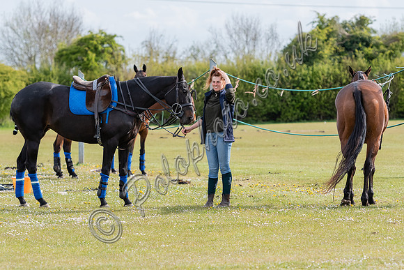 polo action Badminton Cup
