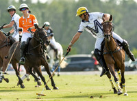 Polo action, Neil Haig Cup, Cirencester Park