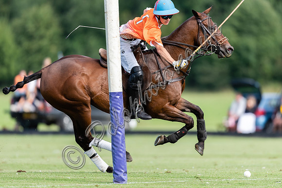 Polo action, Neil Haig Cup, Cirencester Park