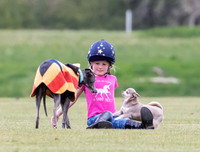 "Little Foxes" with polo dogs