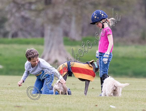 "Little Foxes" with polo dogs