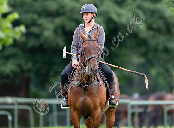 polo grooms and ponies