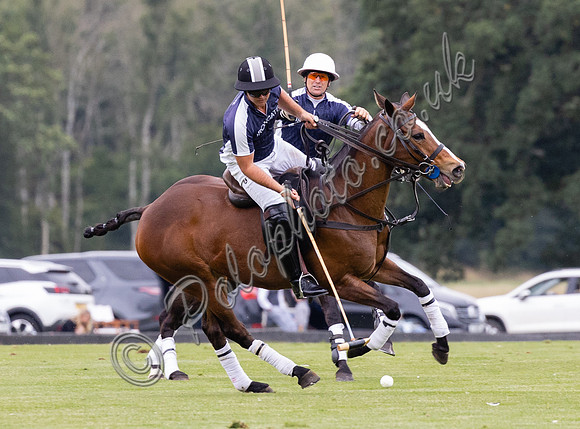 Polo action, Chairmans Cup, Cirencester Park
