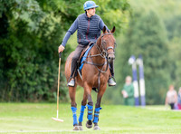 polo grooms and ponies