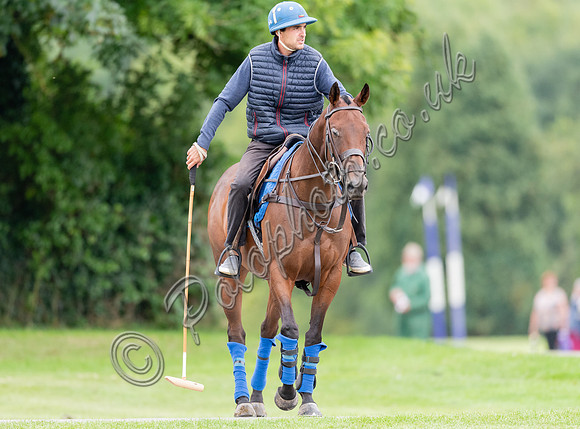 polo grooms and ponies