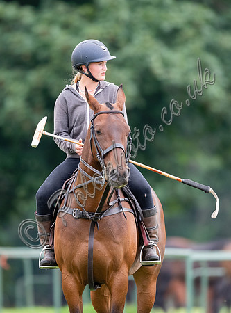 polo grooms and ponies