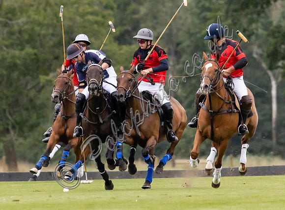 Polo action, Chairmans Cup, Cirencester Park