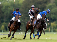 polo action End of Season Tournament, Cirencester Park