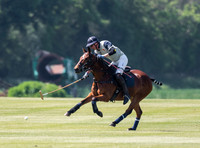 polo action Committee Cup Final Noon Giraffe v Maitland