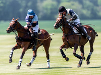 polo action Committee Cup Final Noon Giraffe v Maitland