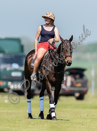 polo groom and pony