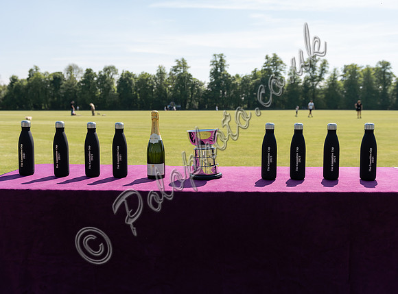 polo action Committee Cup Final Noon Giraffe v Maitland