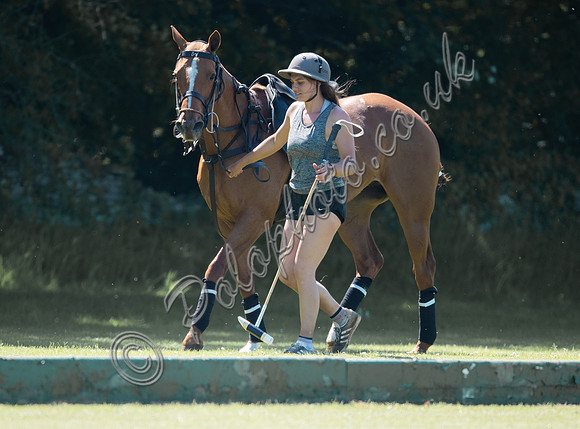polo groom and pony
