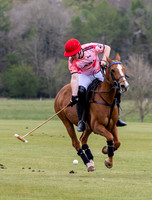 Polo action, Badminton Cup, Cirencester Park