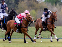 Polo action, Badminton Cup, Cirencester Park