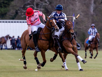 Polo action, Badminton Cup, Cirencester Park