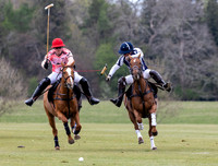 Polo action, Badminton Cup, Cirencester Park