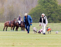 Mr and Mrs Peter West treading in with dogs,