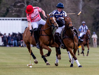 Polo action, Badminton Cup, Cirencester Park