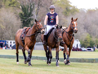 Female polo groom with ponies