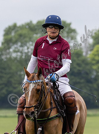 Alejandro Aznar patron, polo player, businessman