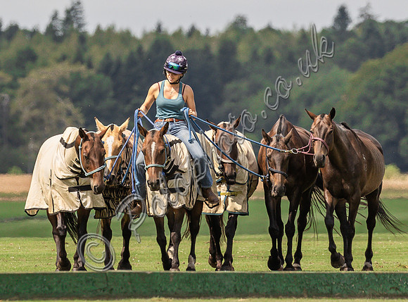 Polo action, The Neil Hague Cup, Cirencester Park